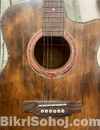 Zuodanny Guitar